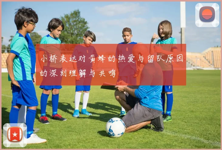 小桥表达对黄蜂的热爱与留队原因的深刻理解与共鸣